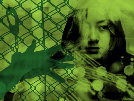 The Policing of the Mentally Ill