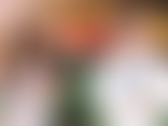 Holiday Hangover Cure