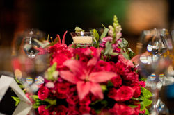Raleigh, NC Event Designer