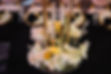 iStock-1490659011.jpg