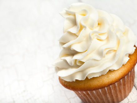 Gourmet cupcakes in Raleigh, NC