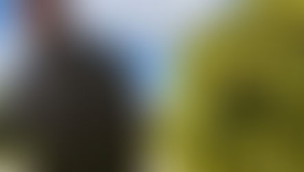 Just John (South Florida Artist)