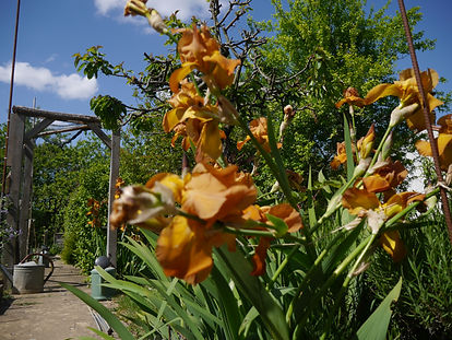 P1050854.JPG