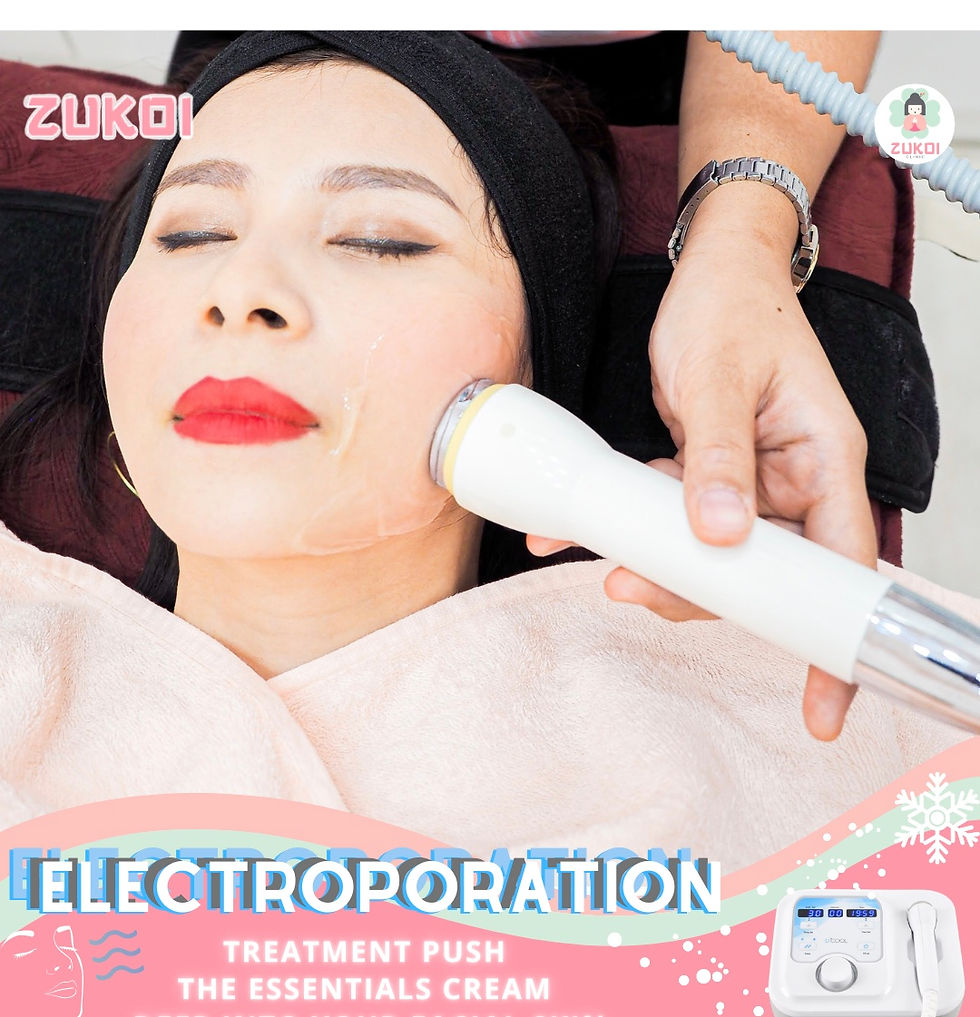 サムネイル： Electroporation