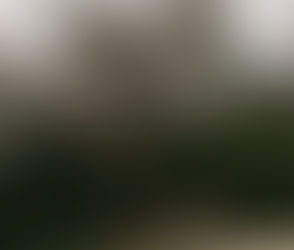 월요일 아침의 주머니