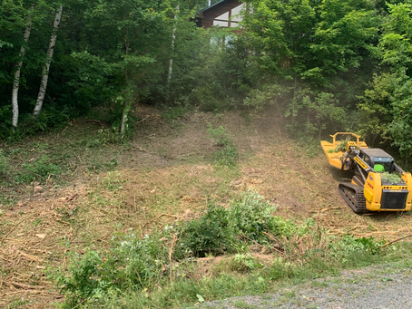 The Benefits of Professional Land Clearing Services