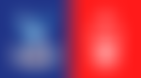 Palace v Forest