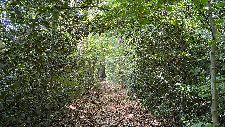 WhatsApp Image 2024-09-20 at 17.30.53 (1).jpeg