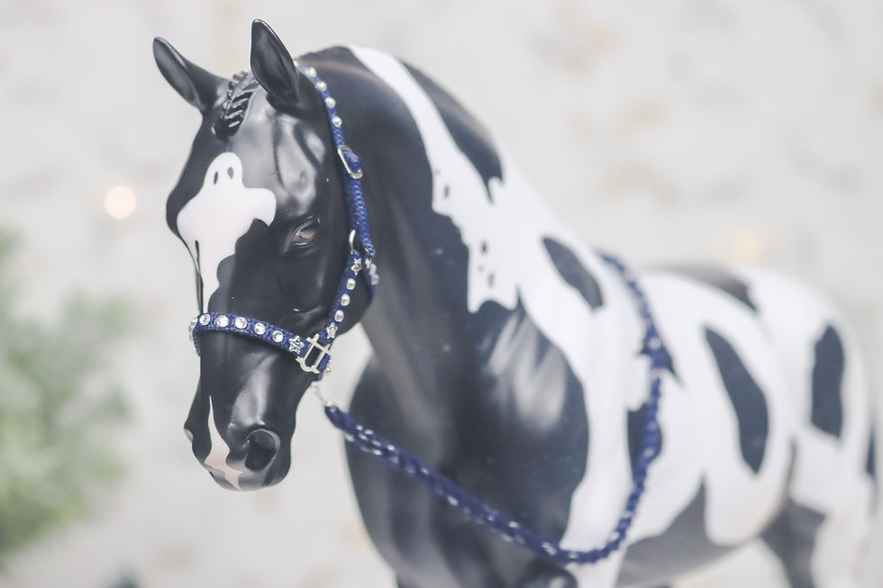 Thumbnail: Solar Wind - Traditional Scale Halter Set