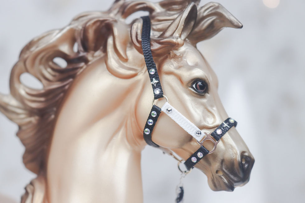 Thumbnail: Moon Cookie - Traditional Scale Halter Set