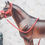 Thumbnail: Imperial Guard - Traditional Scale Fleece Halter Set