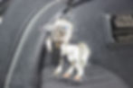 Thumbnail: Seth - Acrylic Keychain