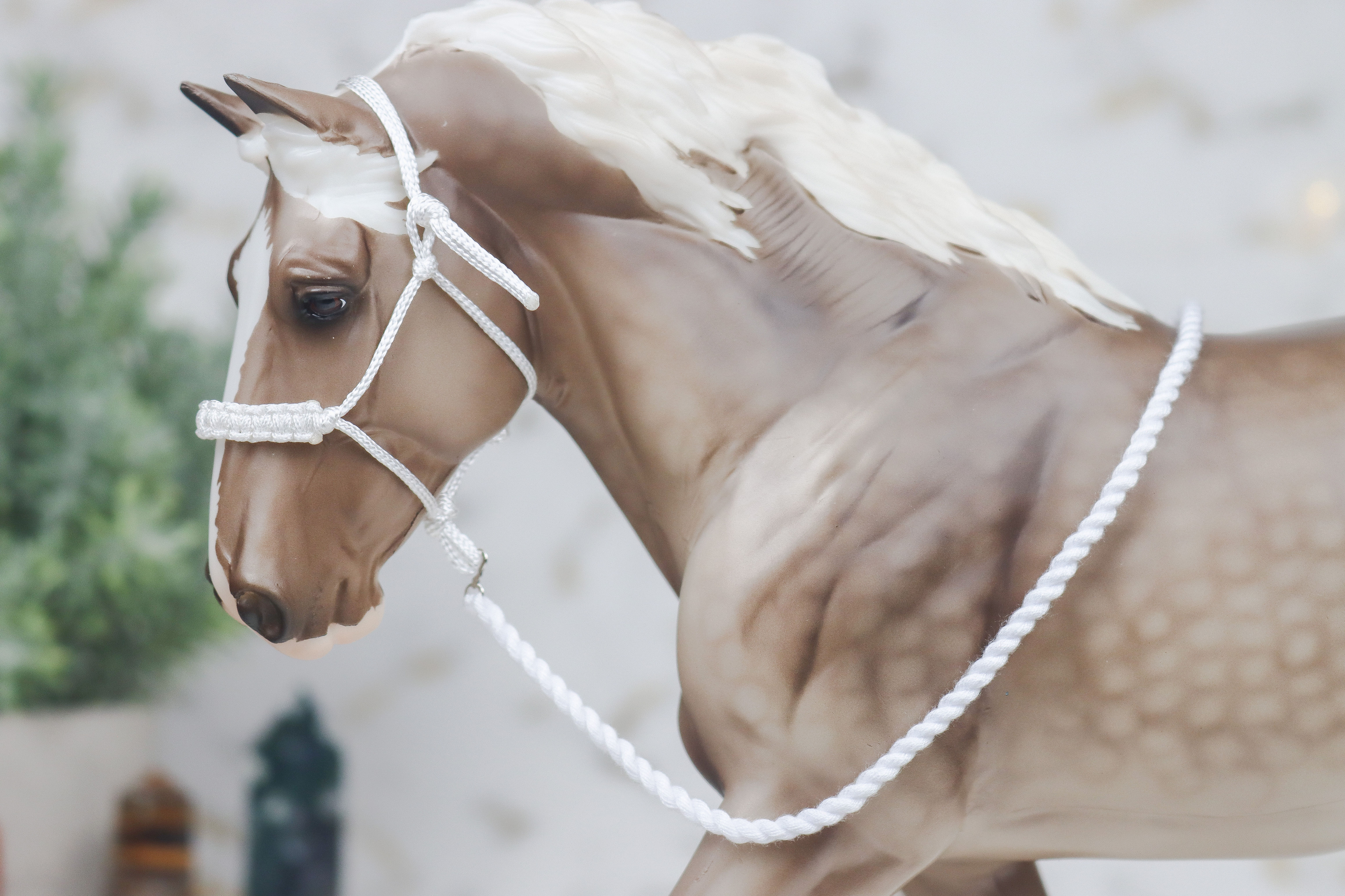 Sunscreen - Traditional Scale Rope Halter Set