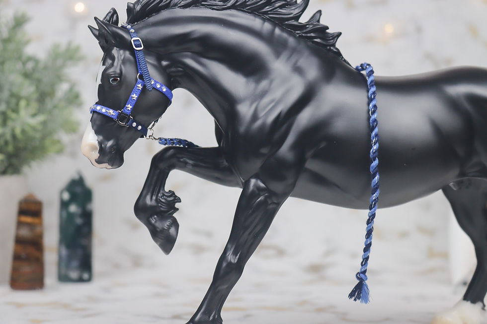 Thumbnail: Universe - Traditional Scale Halter Set