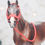 Thumbnail: Imperial Guard - Traditional Scale Fleece Halter Set
