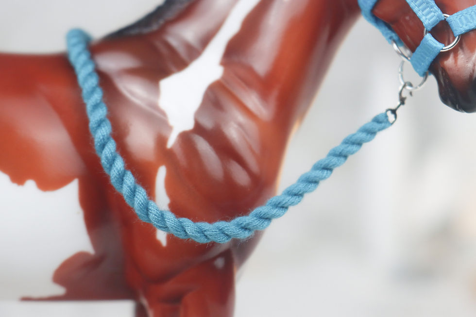 Thumbnail: Riptide - Traditional Scale Foal Halter Set
