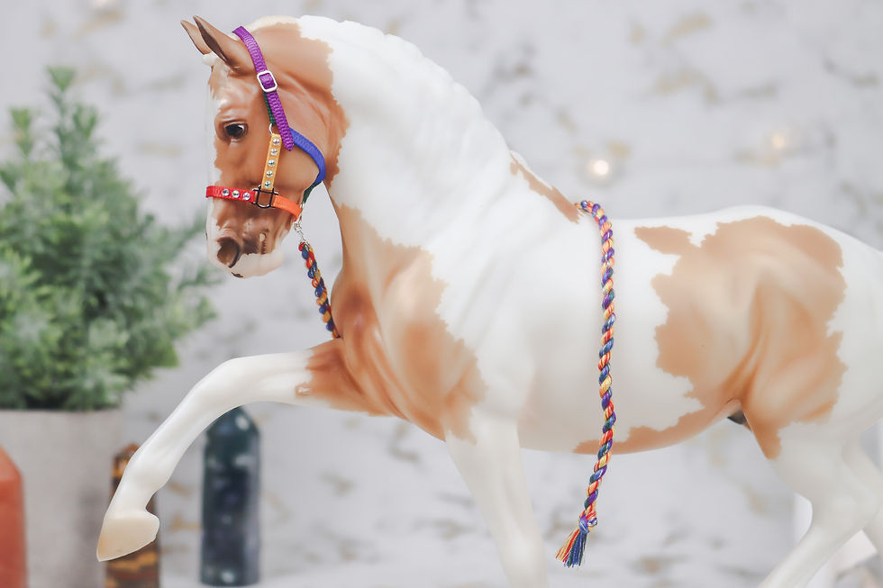 Thumbnail: Color Caravan - Traditional Scale Halter Set
