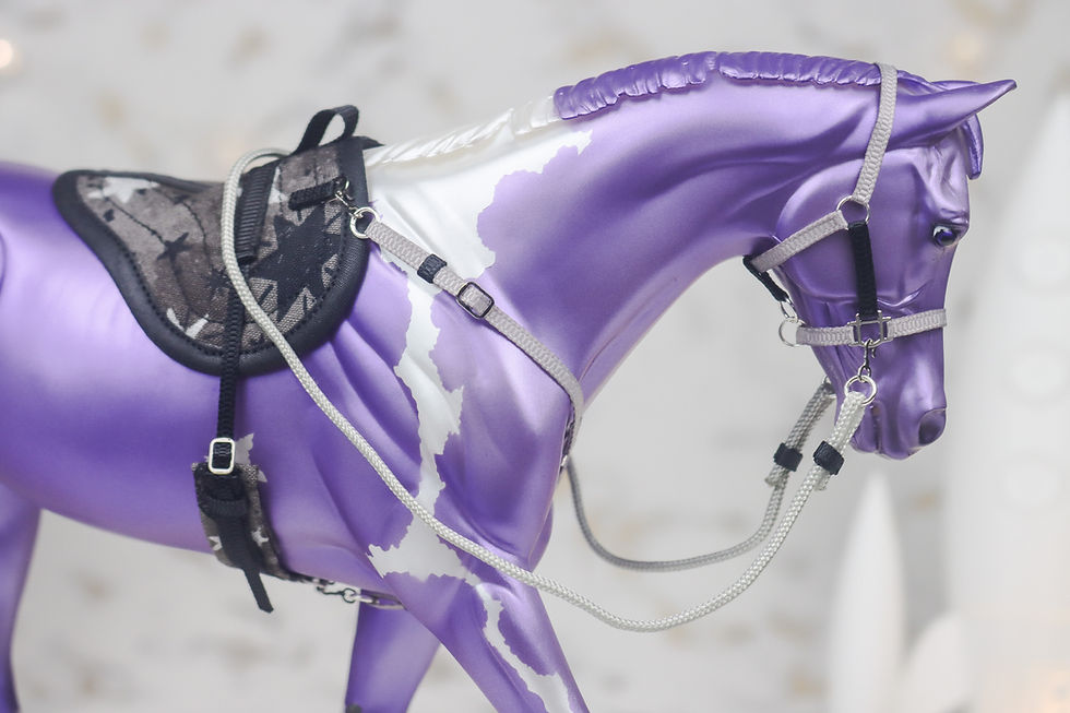 Thumbnail: Star Charts - Traditional Scale Bareback Set