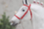 Thumbnail: Petrova Line - Traditional Scale Draft Horse Show Halter Set