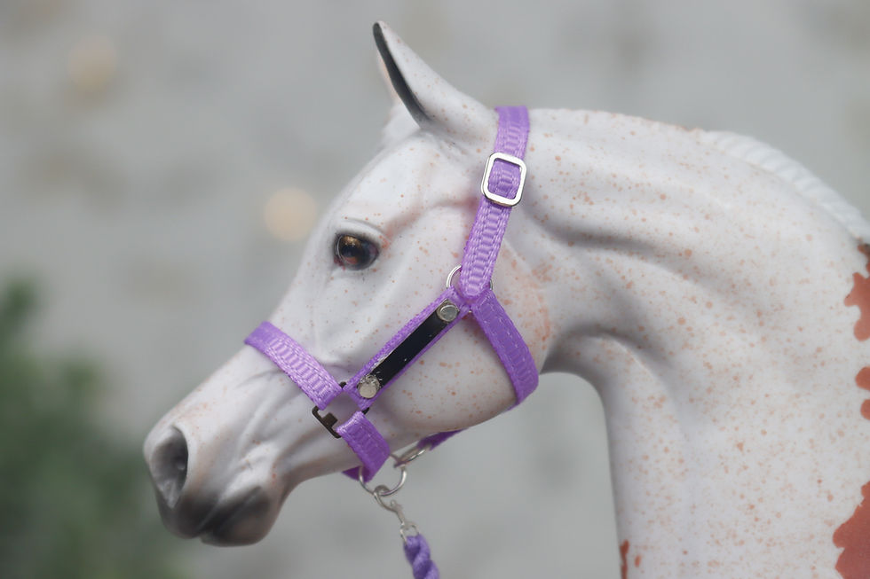 Thumbnail: Squeaky Toy - Traditional Scale Nameplate Halter Set