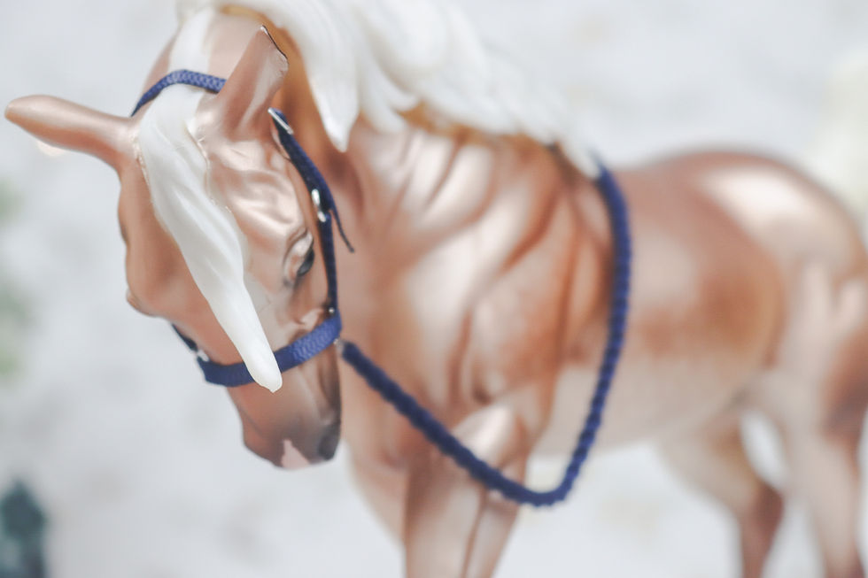 Thumbnail: Gravity - Traditional Scale Halter Set