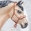 Thumbnail: Dino Tracks - Traditional Scale Rope Halter Set
