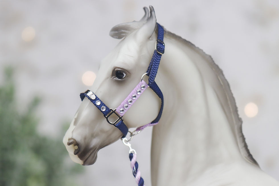 Thumbnail: NPC Energy - Traditional Scale Nameplate Halter Set