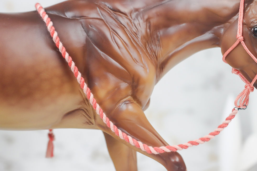 Thumbnail: Lawn Flamingo - Traditional Scale Rope Halter Set