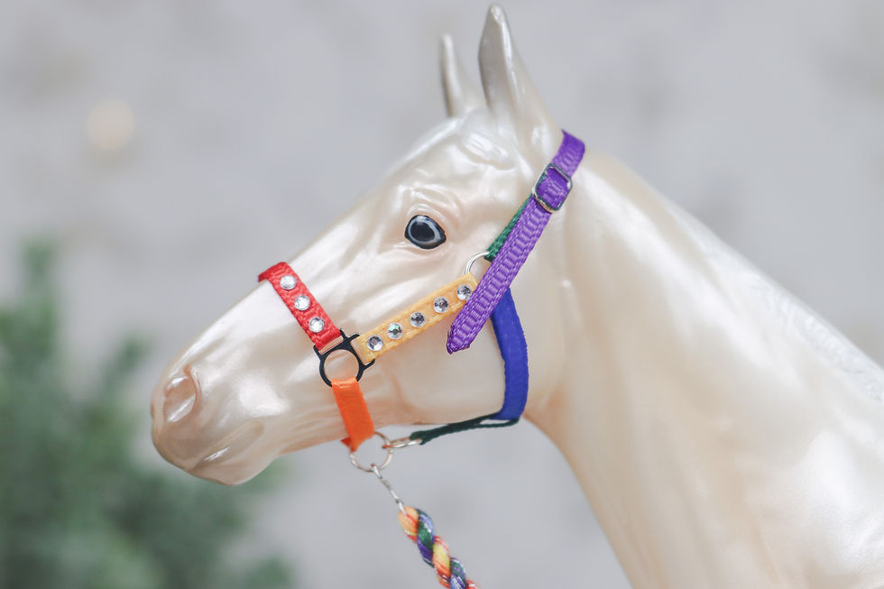 Thumbnail: Rainboom - Traditional Scale Halter Set