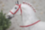 Thumbnail: Petrova Line - Traditional Scale Draft Horse Show Halter Set