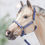 Thumbnail: Fireworks - Traditional Scale Patterned Halter Set