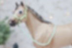 Candy Grass - Traditional Scale Halter Set