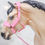 Thumbnail: Ballet Dreams - Traditional Model Horse Fleece Halter Set