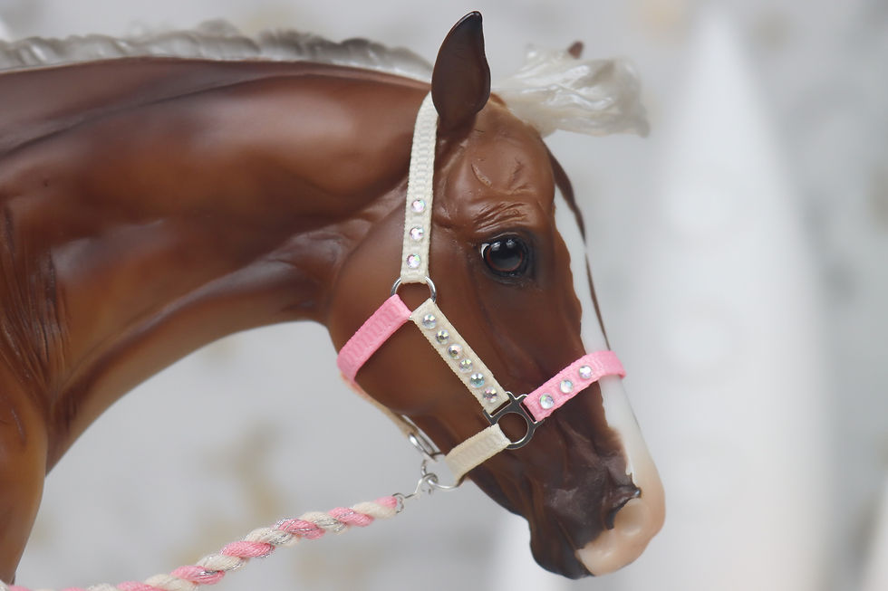 Thumbnail: Strawberry Ice Cream - Traditional Scale Halter Set