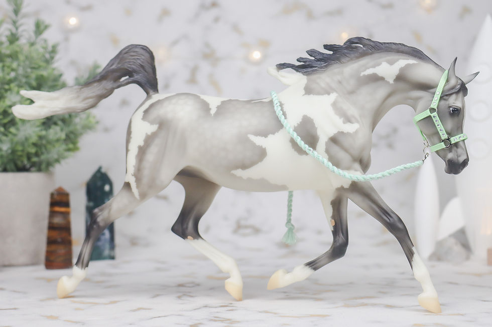 Thumbnail: Glitter Bomb - Traditional Scale Halter Set