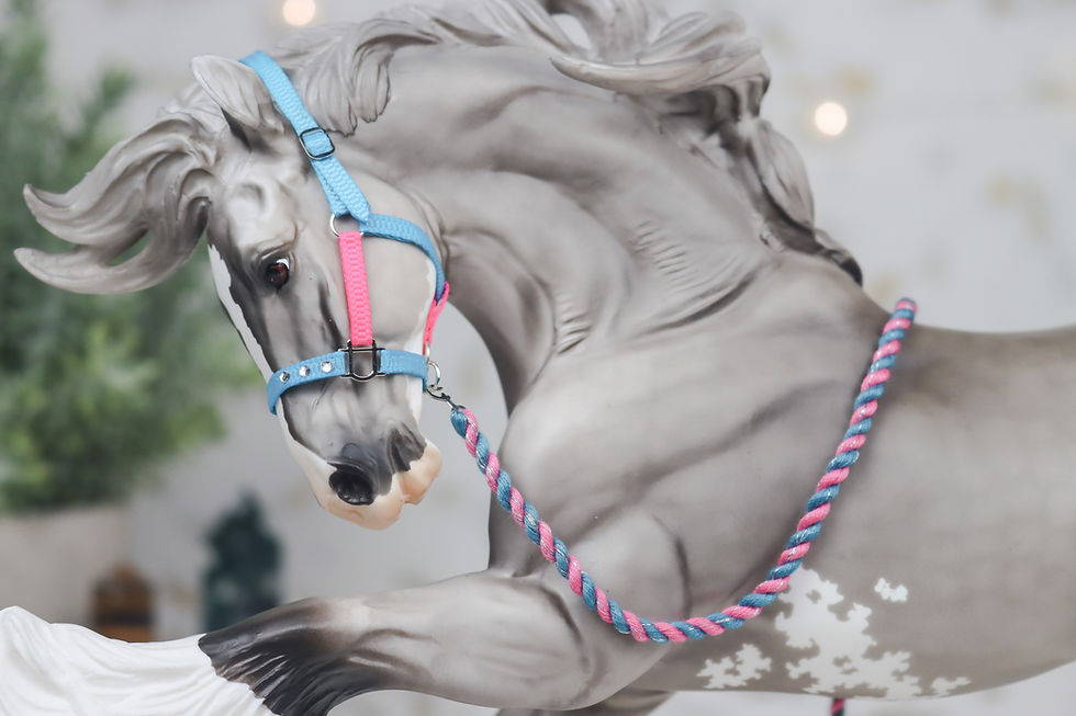 Thumbnail: It Girl - Traditional Scale Halter Set