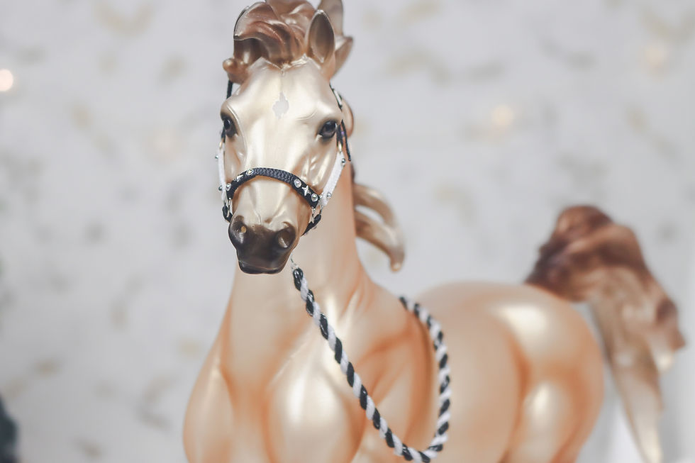 Thumbnail: Moon Cookie - Traditional Scale Halter Set