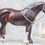 Thumbnail: Rosey Posey - Traditional Model Horse Halter Set