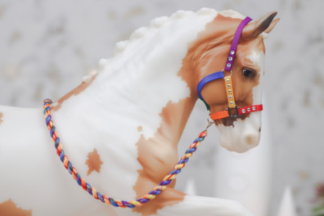 Color Caravan - Traditional Scale Halter Set