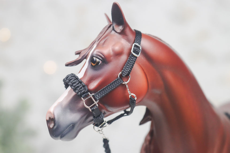 Thumbnail: Blackhole - Traditional Scale Halter Set