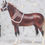 Thumbnail: Blizzard - Traditional Scale Halter Set
