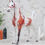 Thumbnail: Hot Rocks - Traditional Scale Halter Set