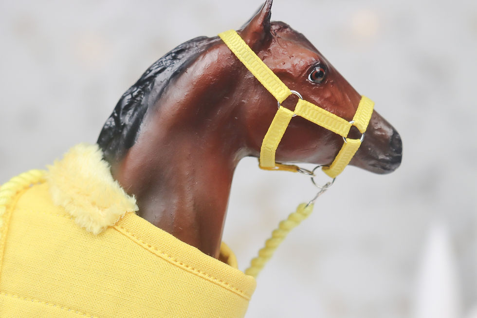 Thumbnail: Marigold - Traditional Scale Foal Blanket Set