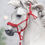 Thumbnail: Asteroid - Traditional Scale Rope Halter Set