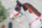 Thumbnail: Wroclaw - Traditional Scale Bareback Set
