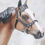 Thumbnail: Alejandro - Traditional Scale Black Harness Costume Set