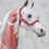 Thumbnail: Hot Rocks - Traditional Scale Halter Set