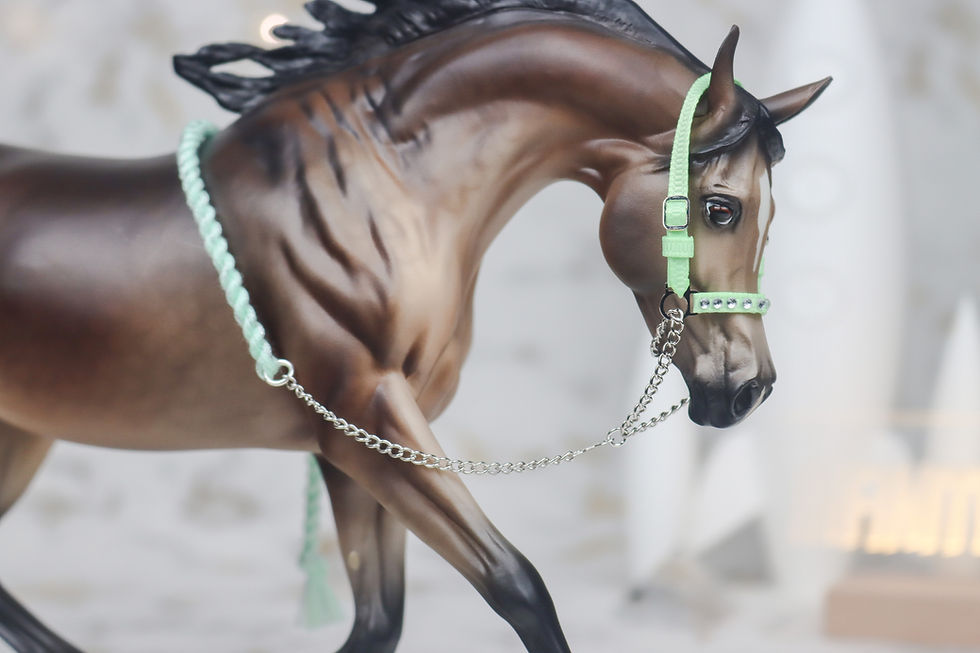 Thumbnail: Green Anole - Traditional Scale Arabian Halter Set