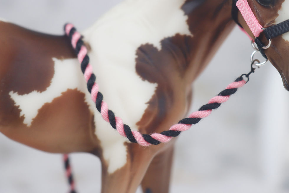 Thumbnail: Punk Rock - Traditional Scale Foal Halter Set
