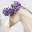 Thumbnail: Andromeda - Traditional Model Horse Flower Crown